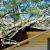 Sang Fallen Tree Damage by Flood & Fire Solutions, Inc